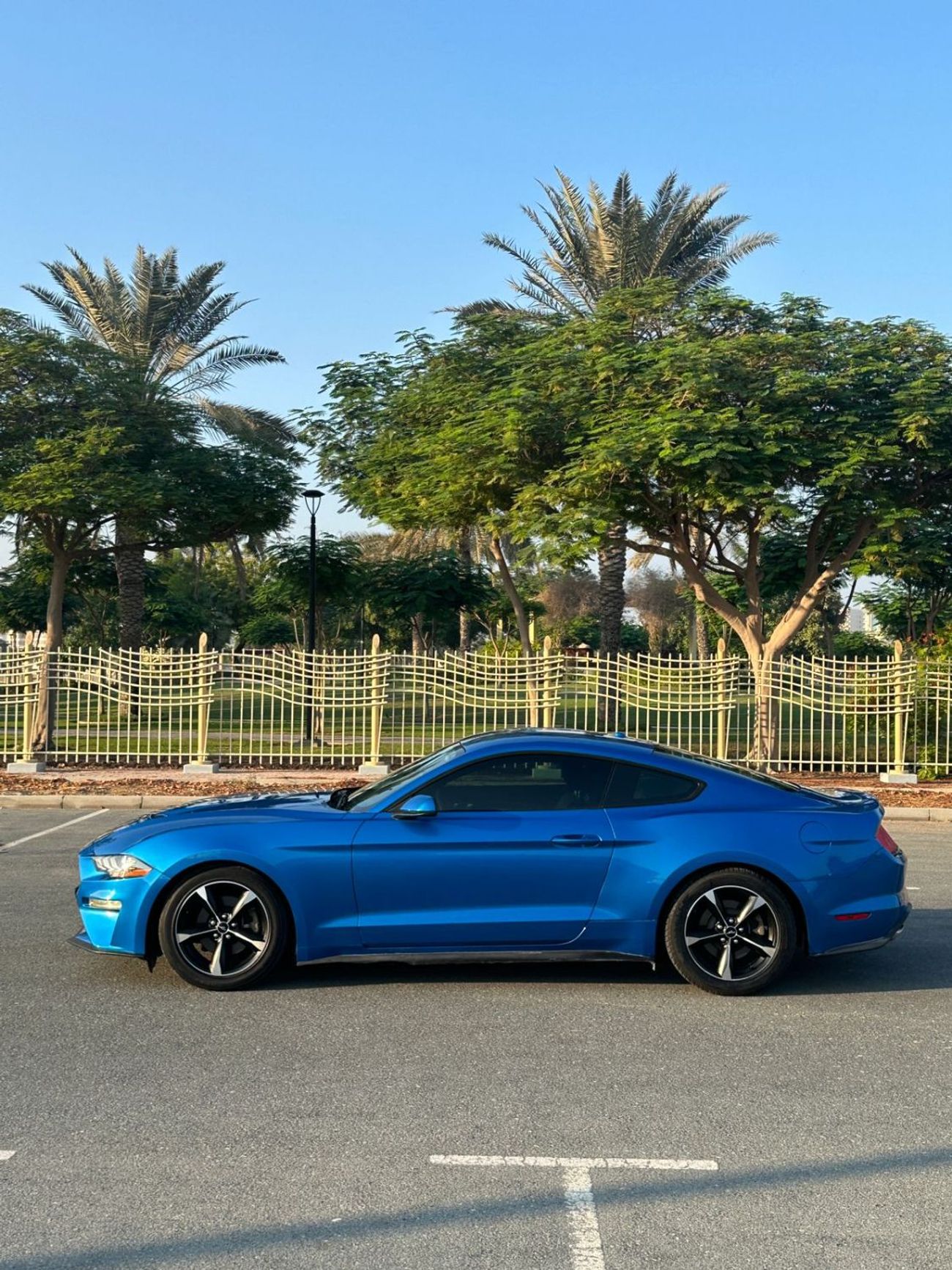 فورد موستانج