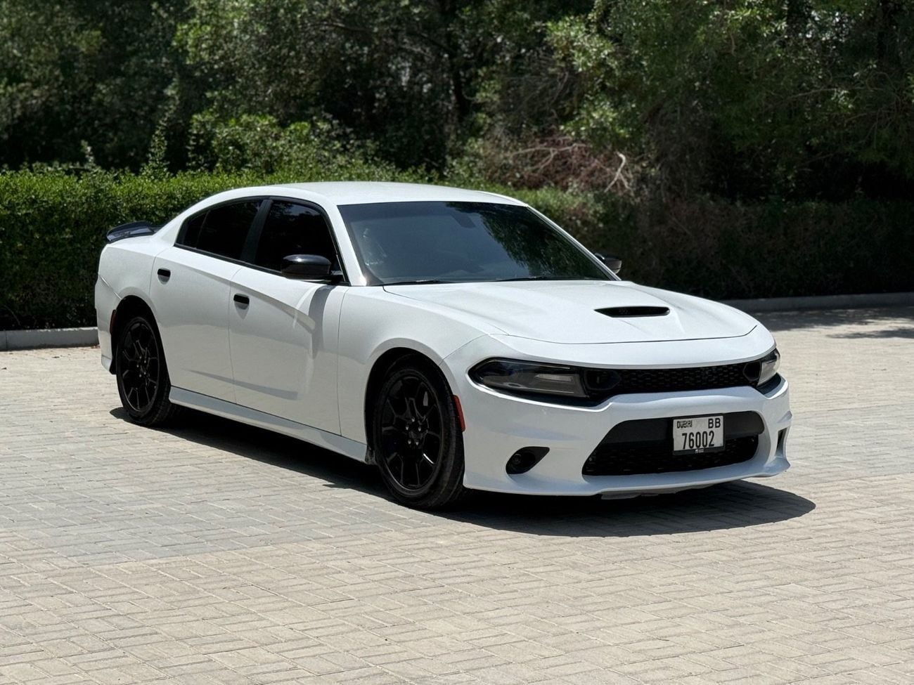دودج تشارجر SE 3.6L