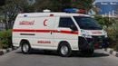 سي إم سي D 260 ( Eid al-Adha Offer ) ( Only For Export ) 2025 CMC D260 Panel Van 2.4L RWD GCC 0Km