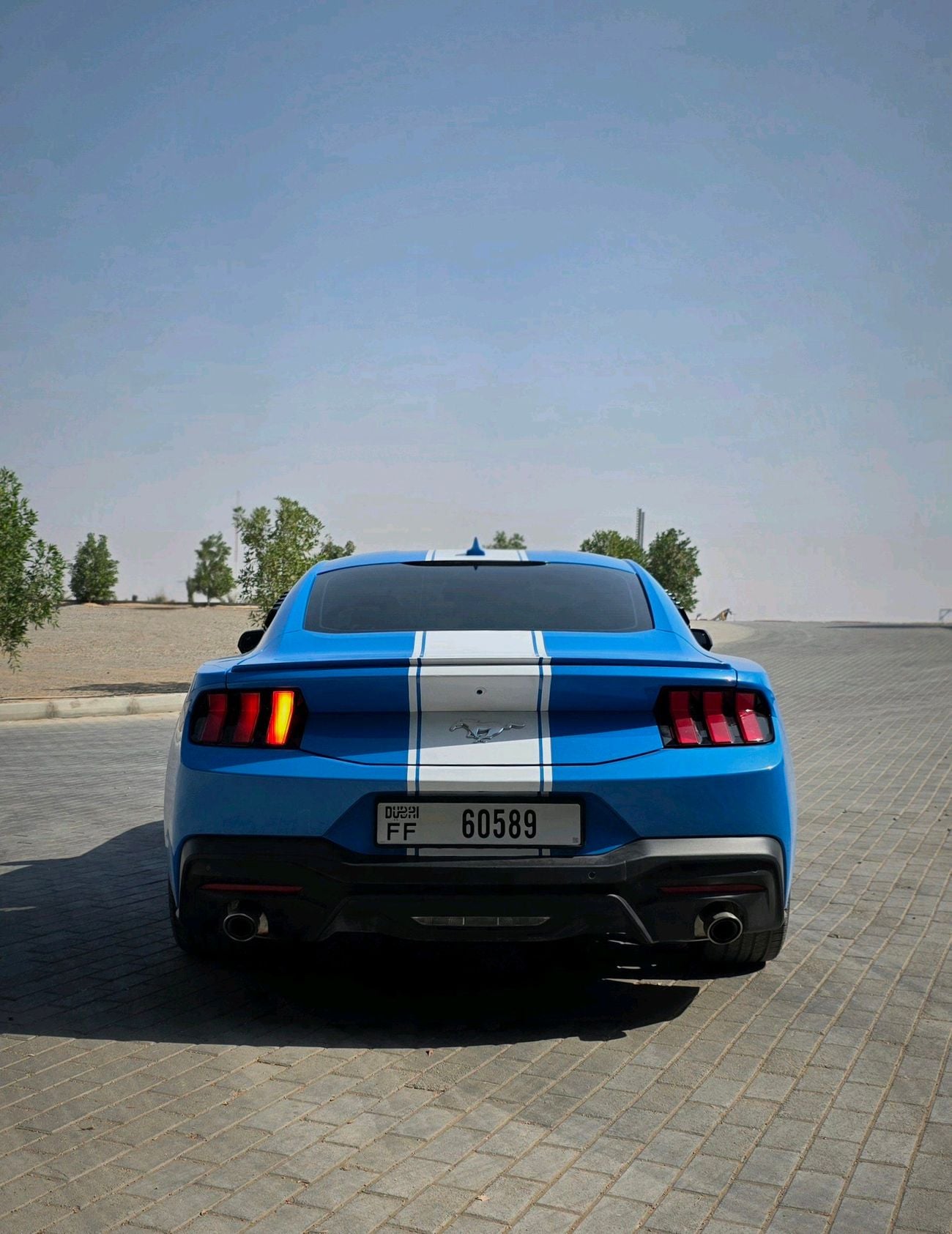 فورد موستانج