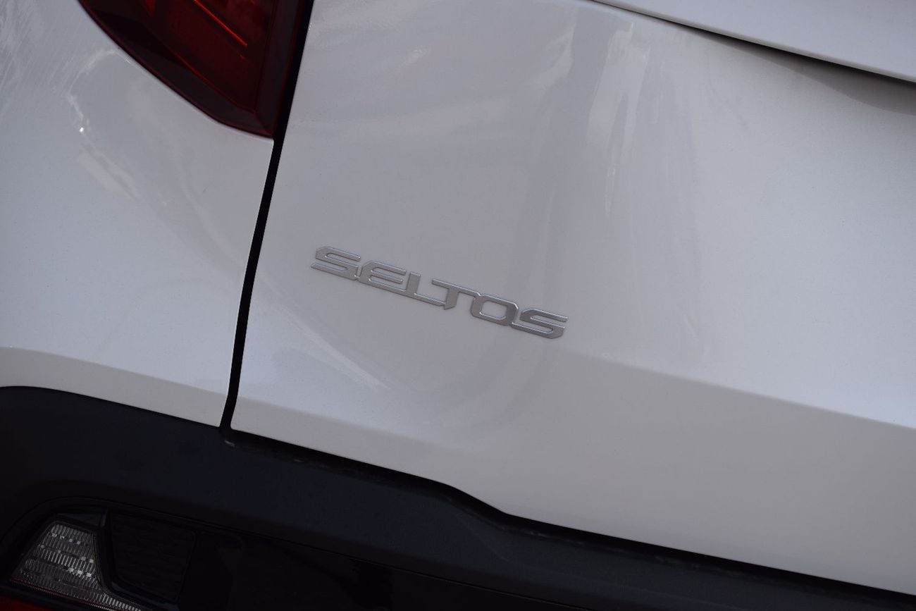 Kia Seltos EX 1.5L Chinese 4 Cylinder luxury Edition