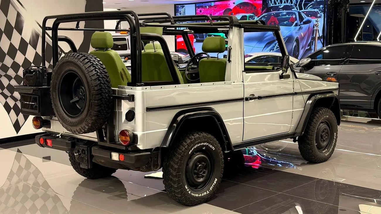Mercedes Benz G300 European Specs