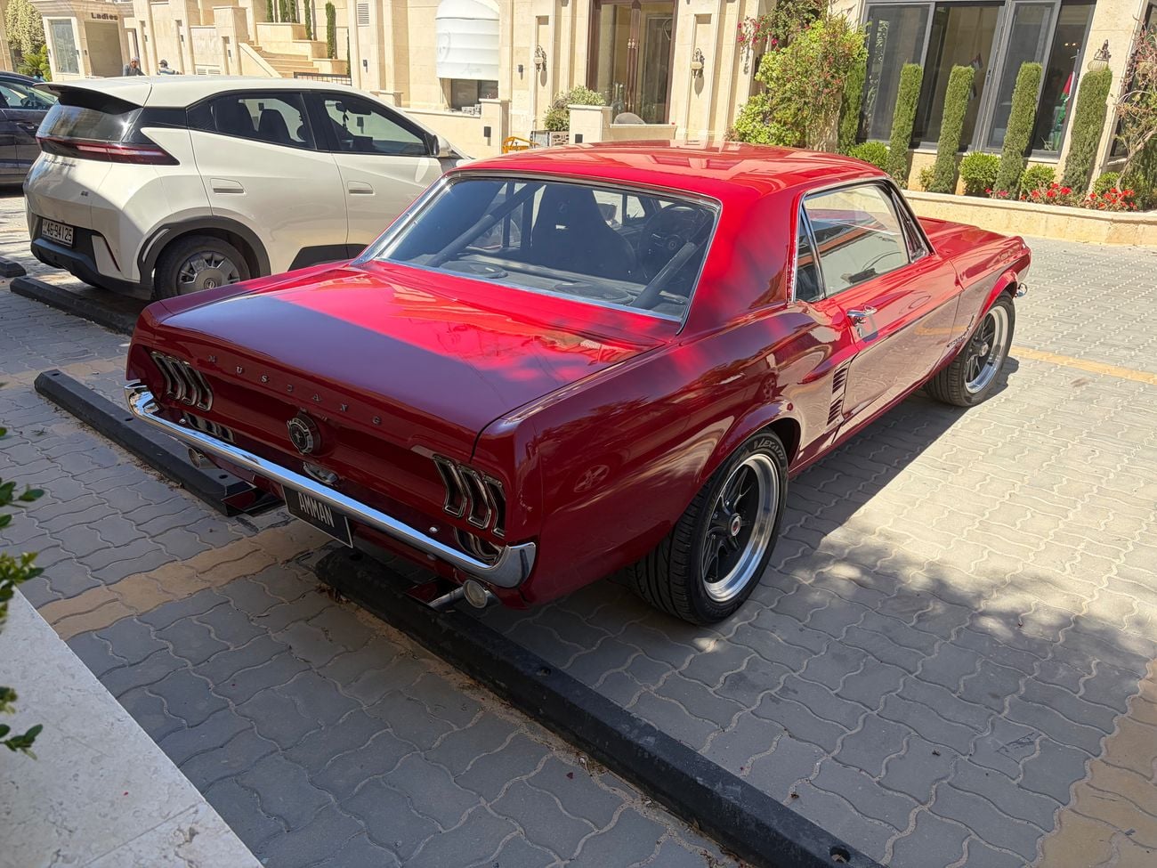 فورد موستانج STD