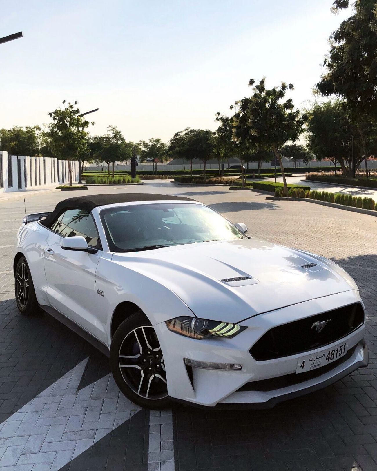 فورد موستانج