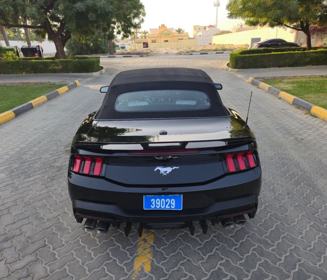 Ford Mustang EcoBoost 2.3L Convertible A/T