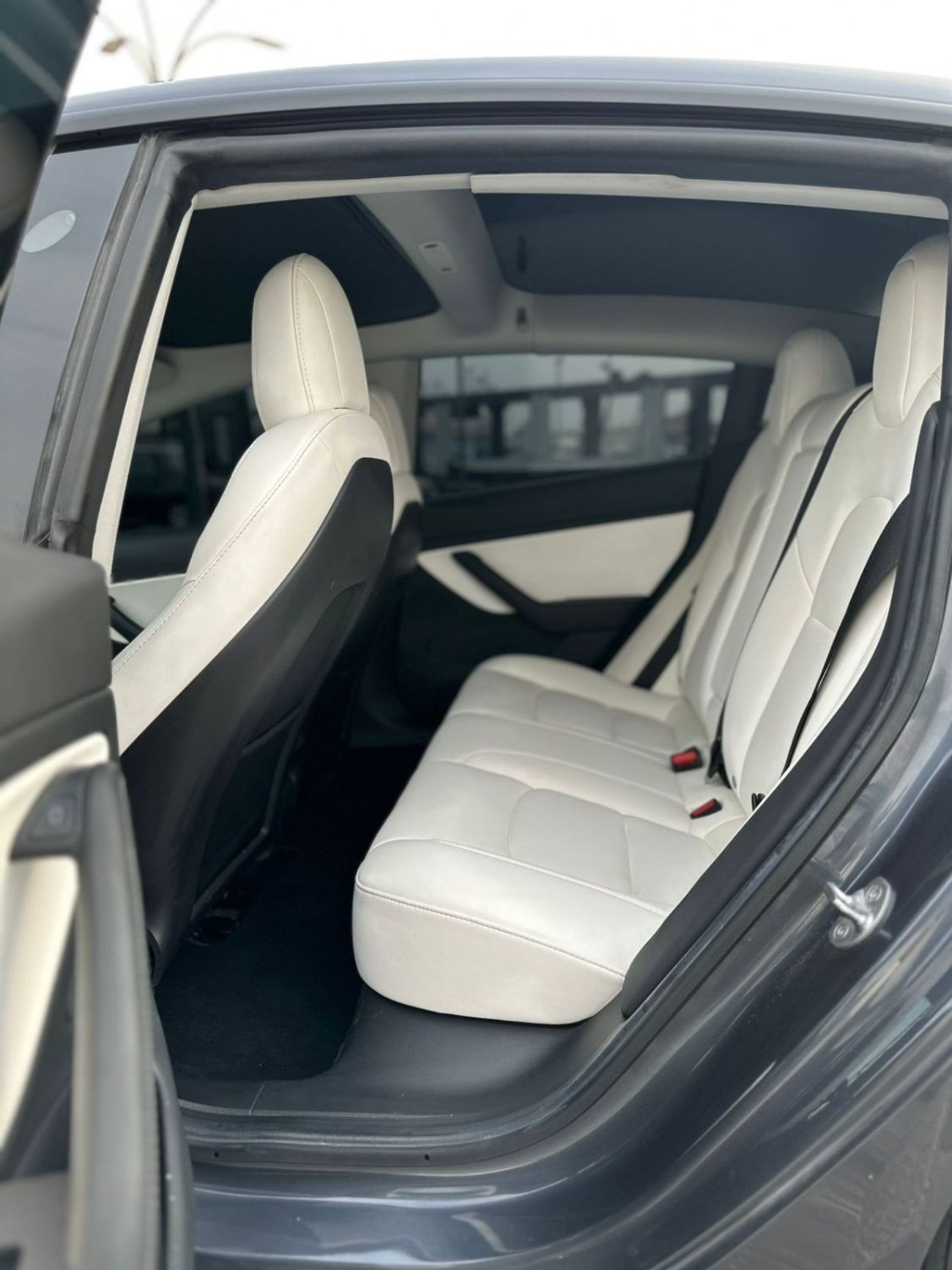 Tesla Model 3 Rear-Wheel Drive