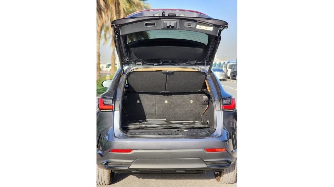 Lexus NX 250 LEXUS NX250 base full option