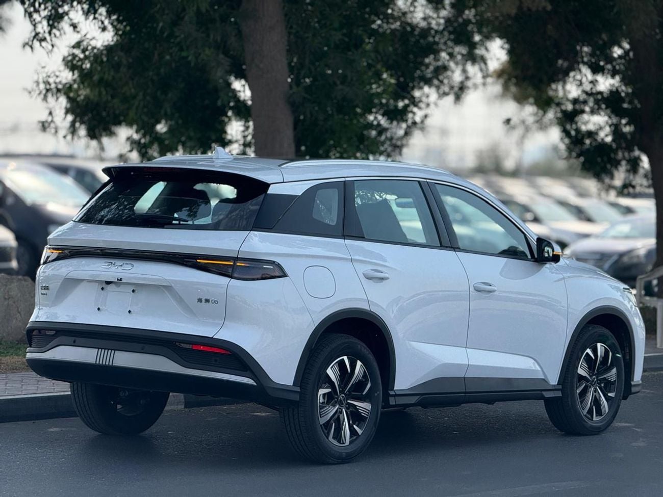 بي واي دي سيليون 05 2025 BYD SEALION 05 DM-i (PHEV) SUV