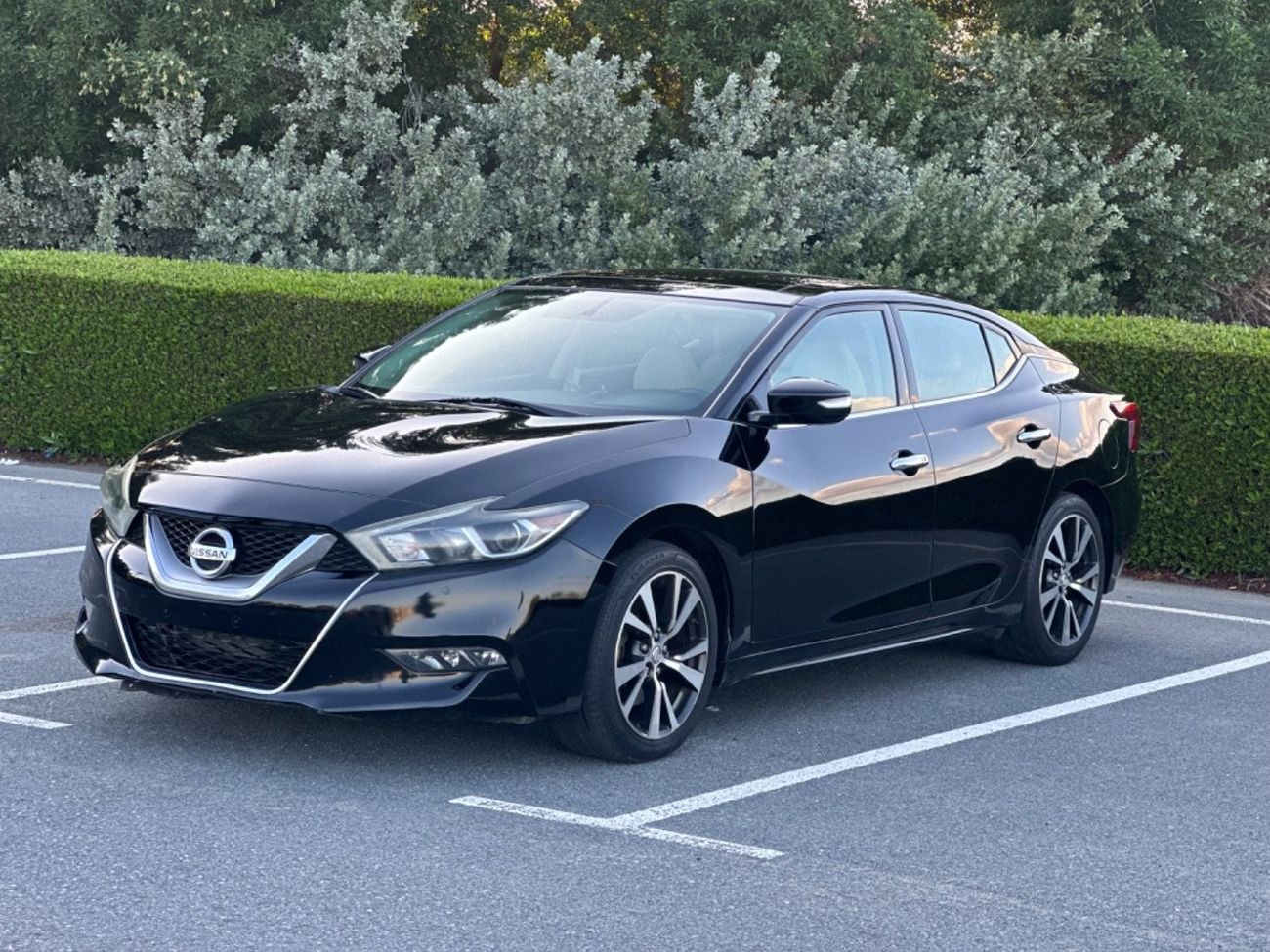 Nissan Maxima SV