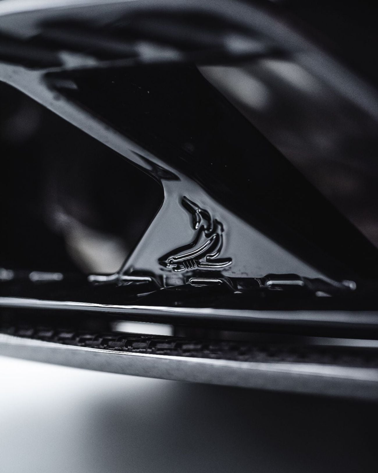 Lamborghini Urus 4.0T V8 Performante Lamborghini Urus Performante TopCar R’Evo Stealth Edition