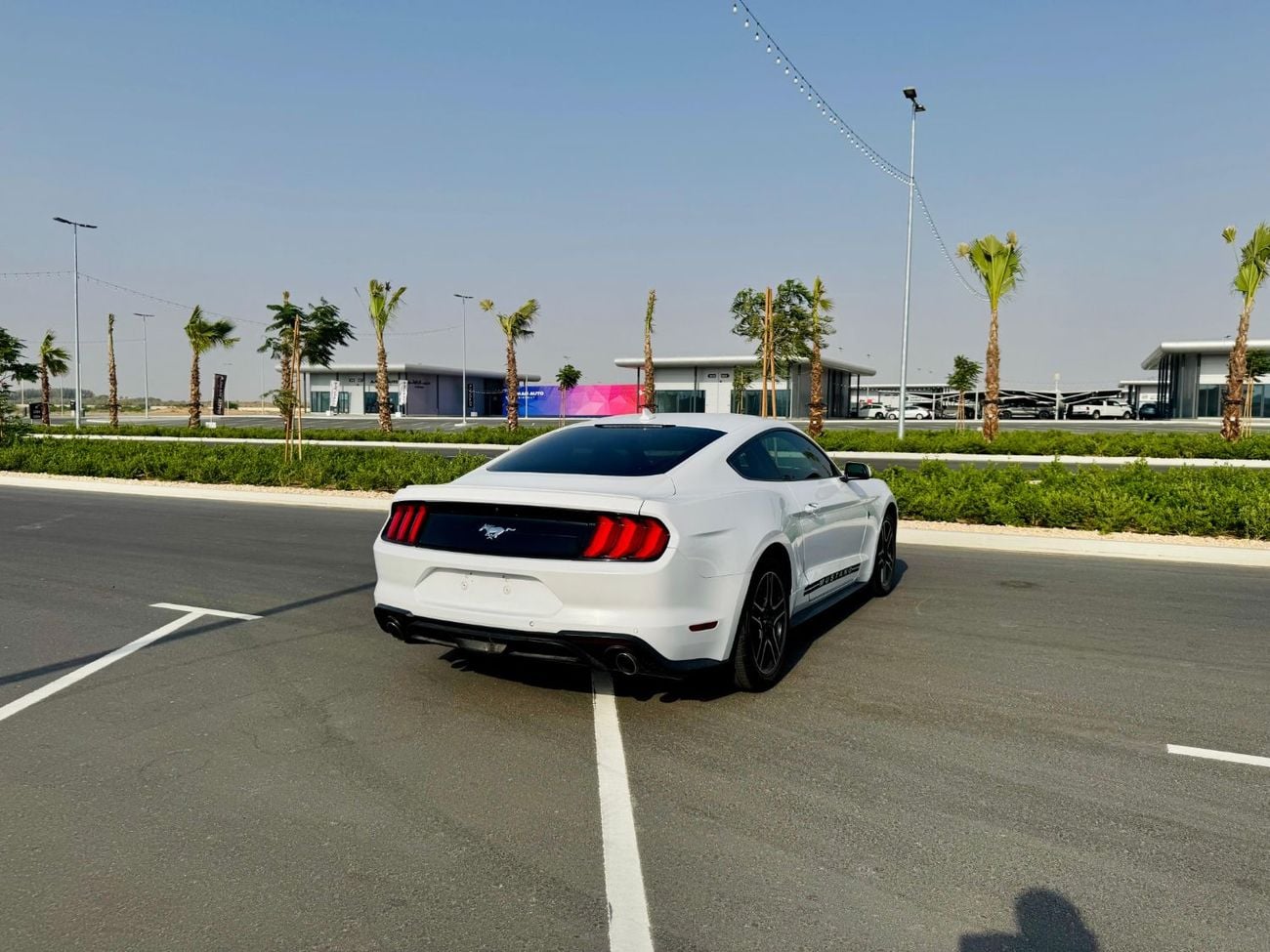 Ford Mustang STD