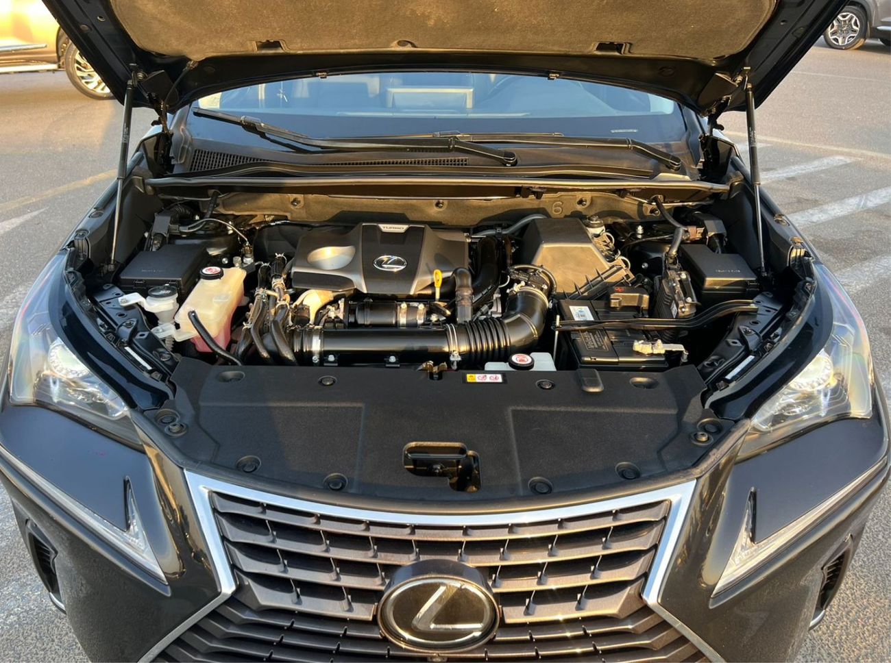 Lexus NX300 2020 Lexus NX300T Turbo Full Option Sewell Edition - 2.0L V4 - AWD 4x4 - 360* 5 CAM - Radar & Sensor