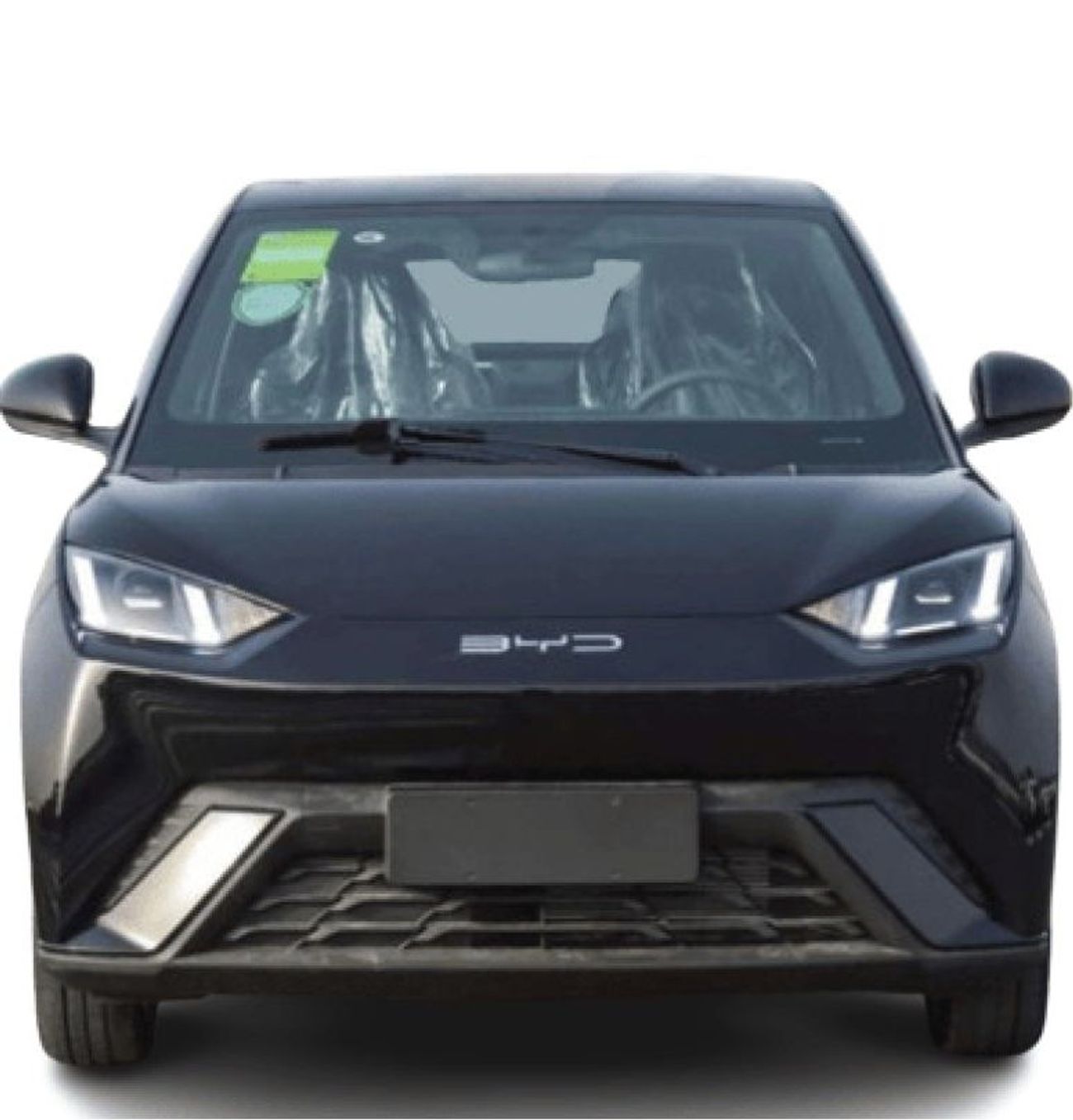 بي واي دي سيجول 