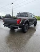 فورد F 150 26/26 RAPTOR 802A PACKAGE