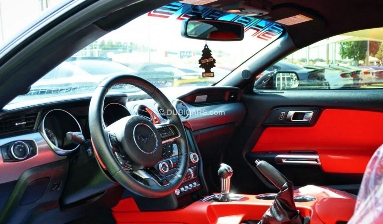 Ford Mustang EcoBoost Mustang Eco-Boost V4 2.3L 2019/ Shelby Kit/ Leather Interior/Excellent Condition