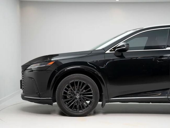 Lexus RX F-SPORT, миниатюра 19