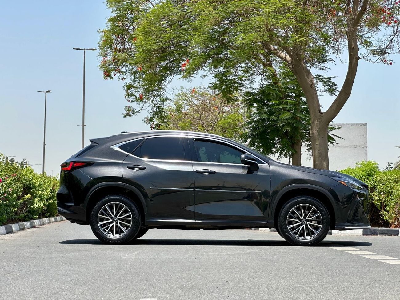 Lexus NX 350h Platinum 2.5L