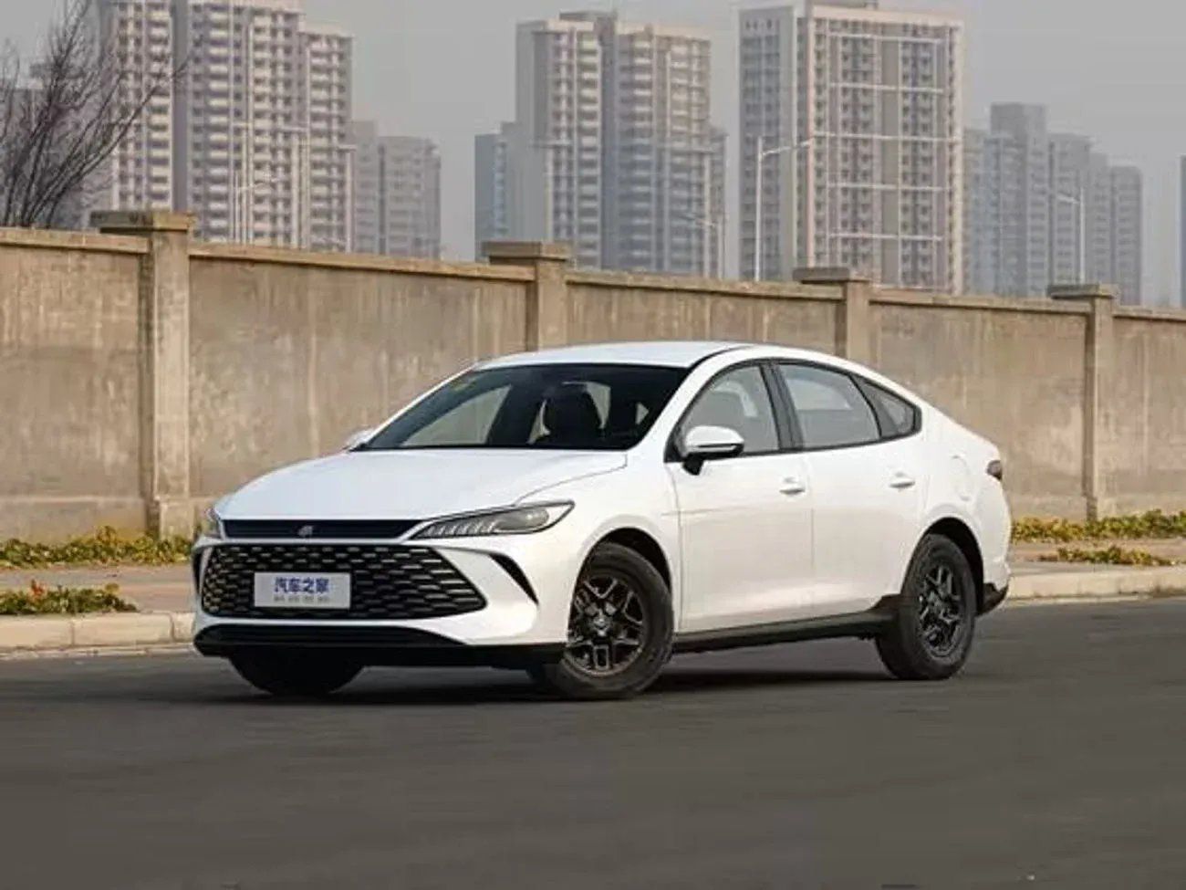 BYD QIN PLUS BYD QIN PLUS 1.5L DMI 55KM plug in Hybrid ( DUCAMZ )