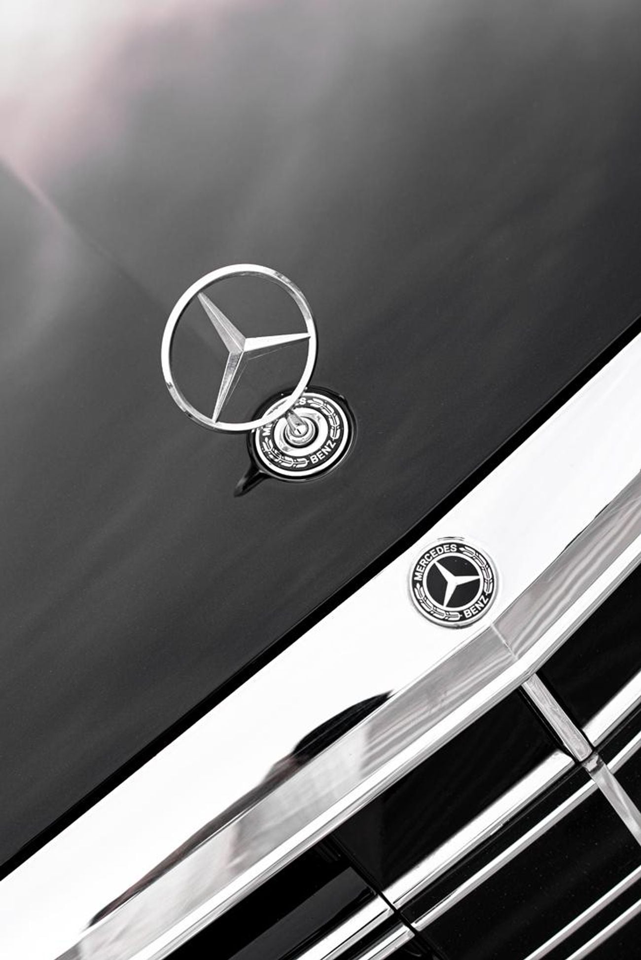 Mercedes-Benz S 450 VIP Seats