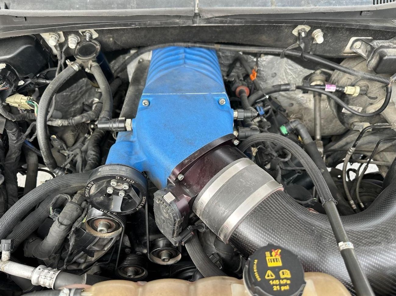 فورد F 150 Shelby