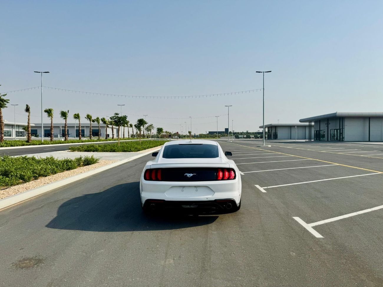 Ford Mustang STD