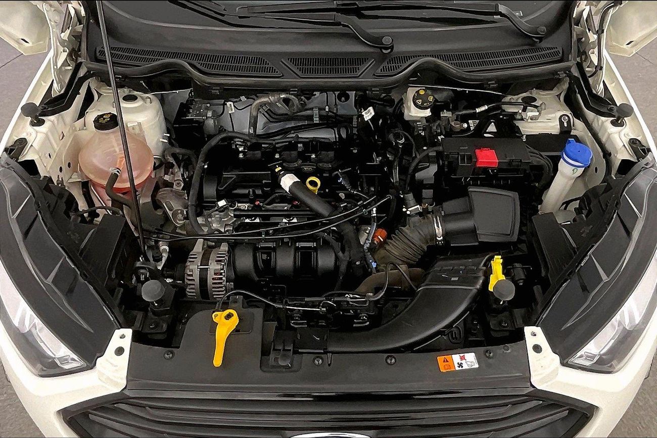 Ford EcoSport Ambiente | Guaranteed Warranty | 0 Down Payment