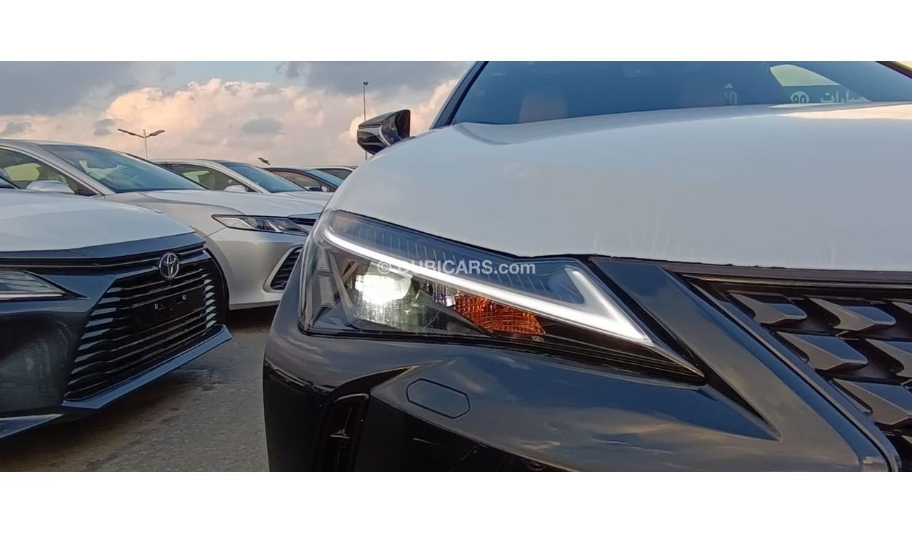 Lexus UX250h Lexus UX250h 2.0L AT HEV,  STEERING HEATER ,  2023MY