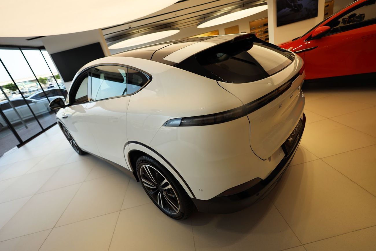 اكس بنغ G6 RWD Standard Range