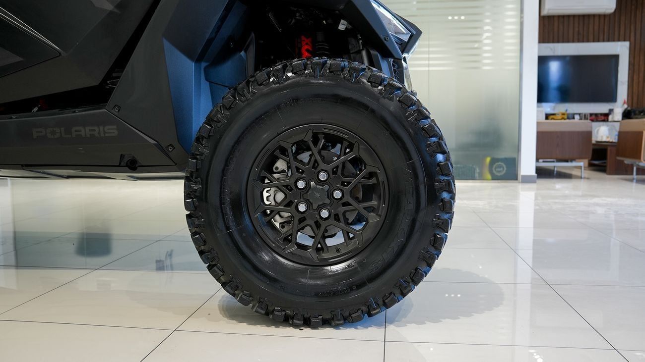 Polaris Dune Buggy STEALTH BLACK