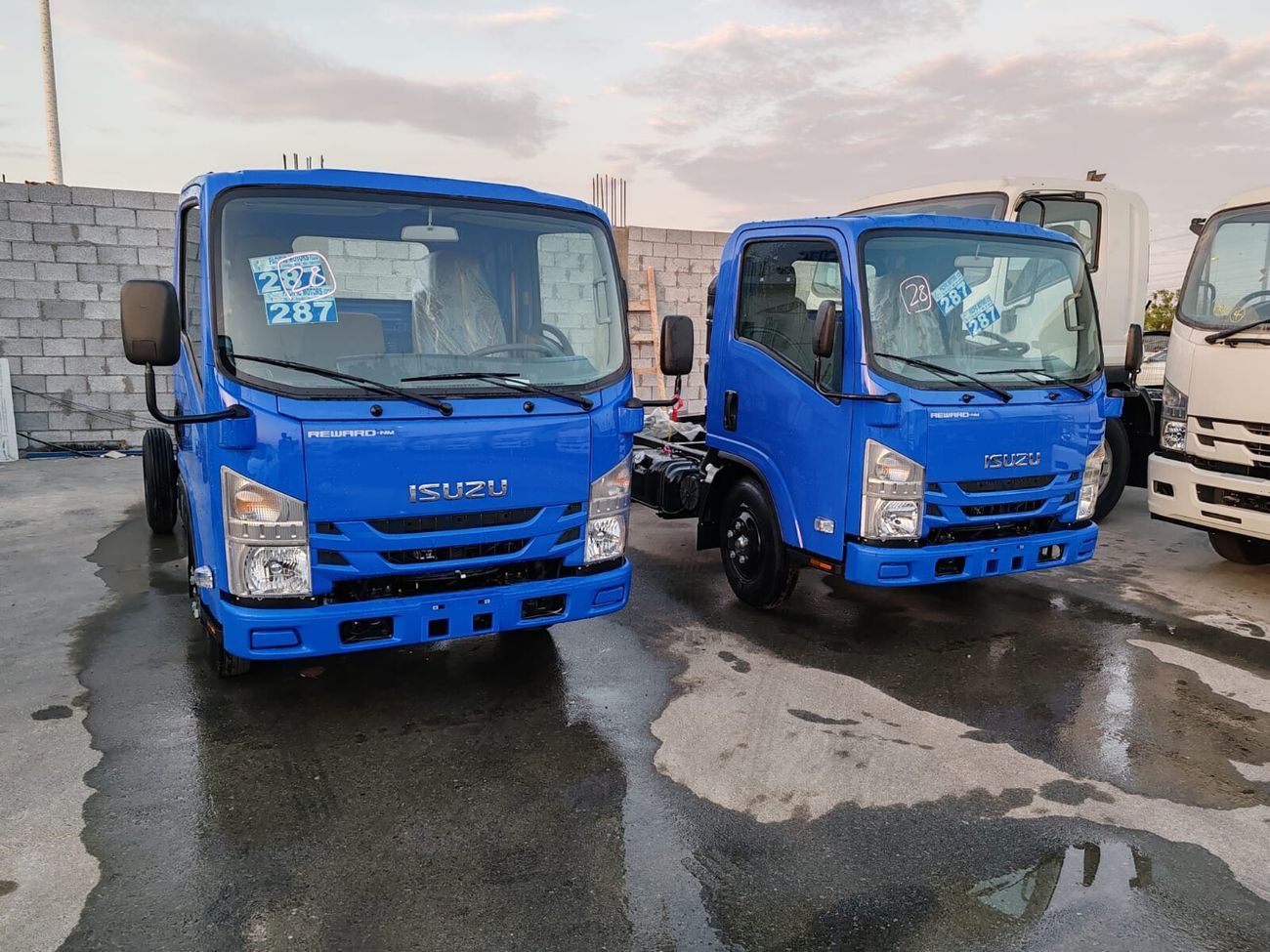 Isuzu NMR Isuzu NMR Chassis 71H 4.6L, 4x2