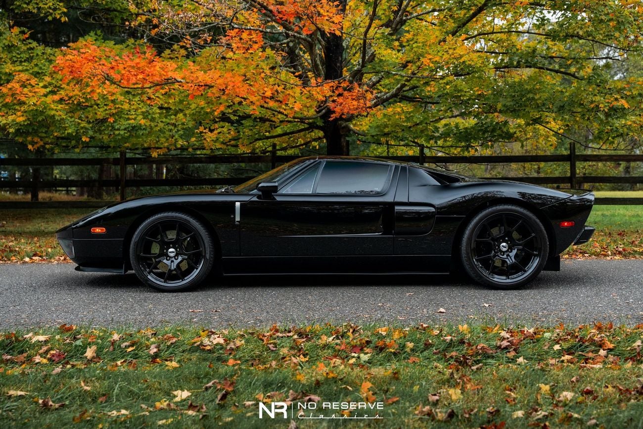 Ford GT Rare 1 of 14 Stripe Delete