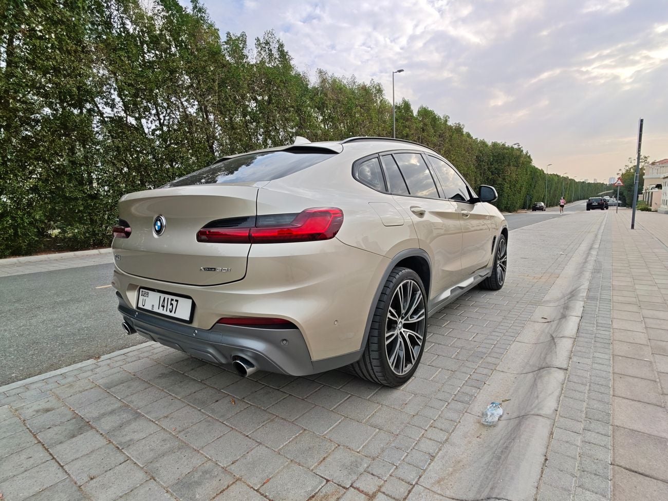 BMW X4 xDrive 30i M Sport 2.0L