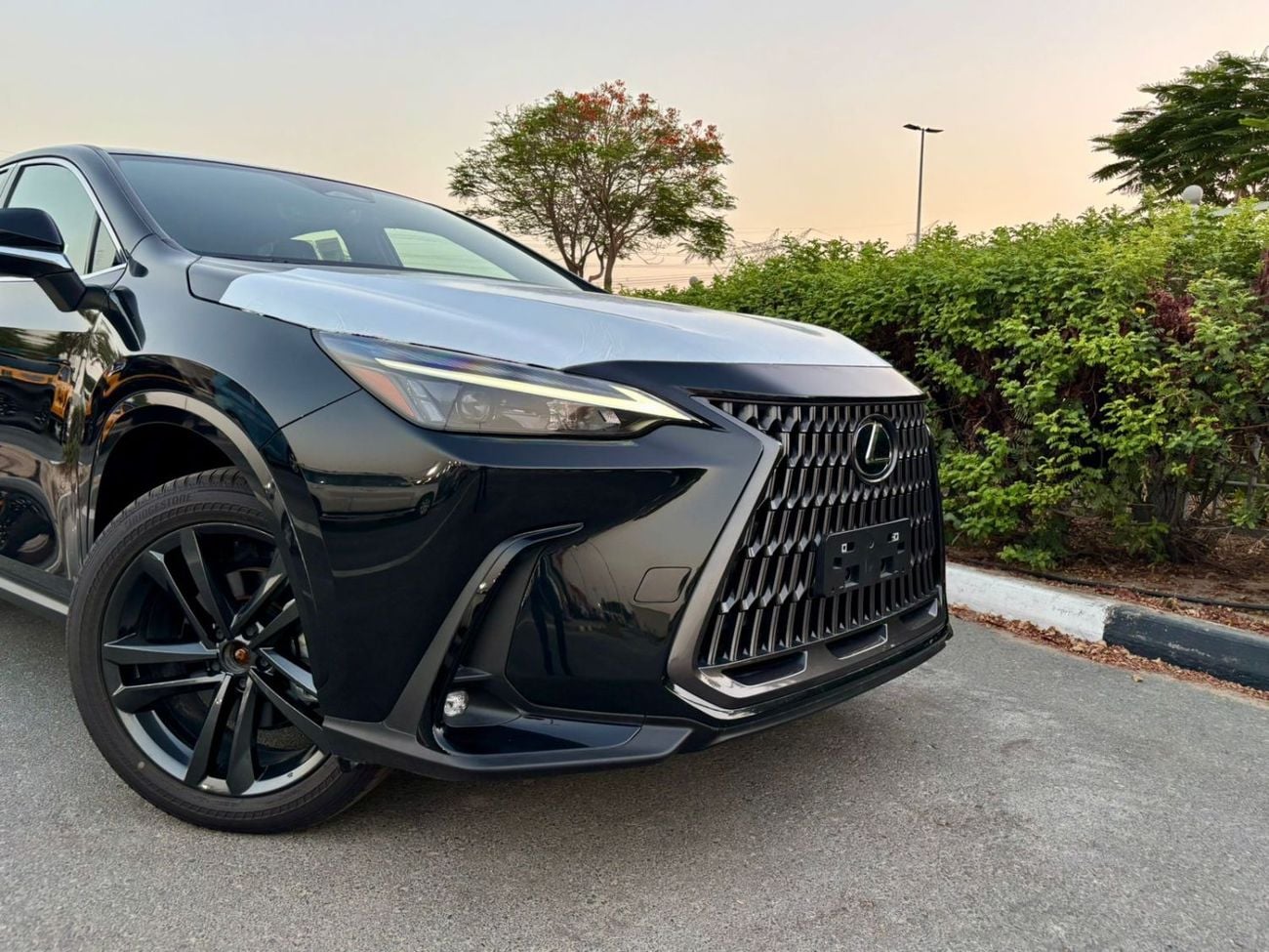 Lexus NX350 PREMIER
