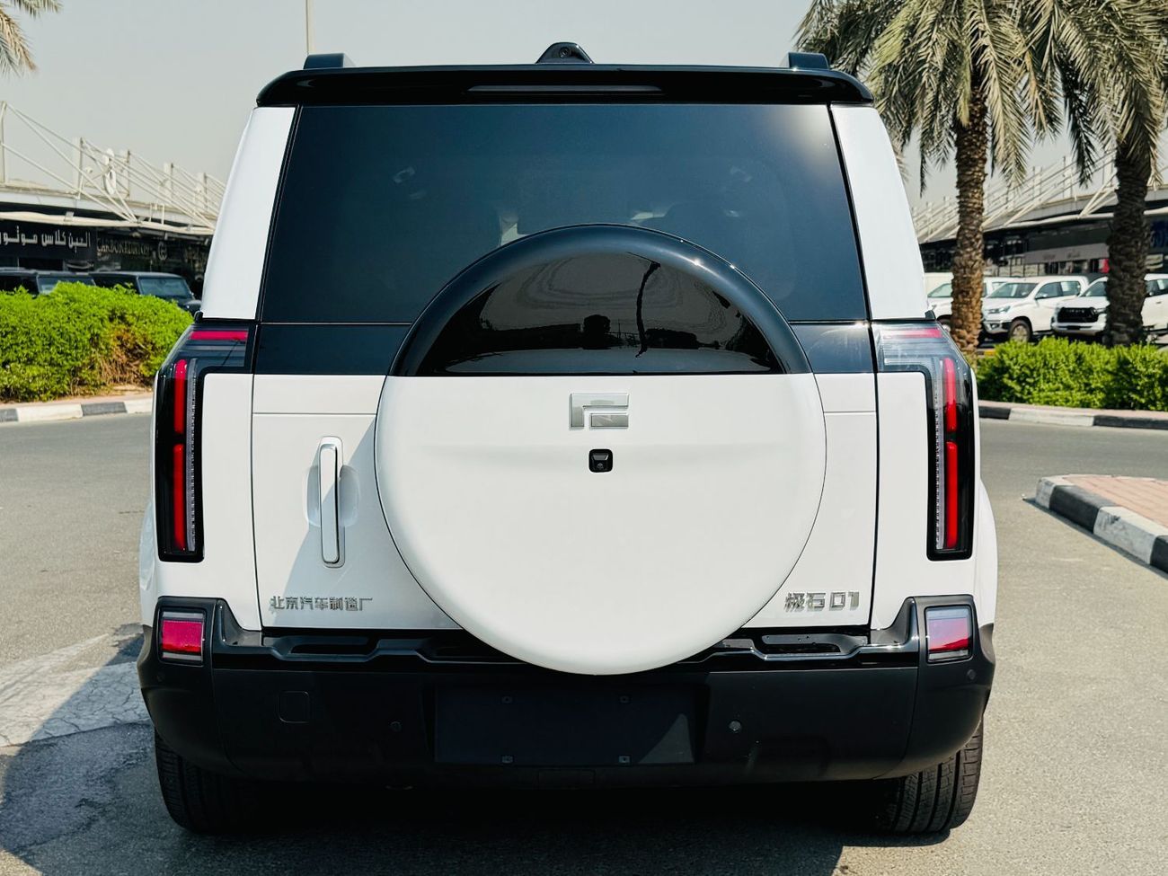 ROX 01 Long Range VIP 6 Seats VIP