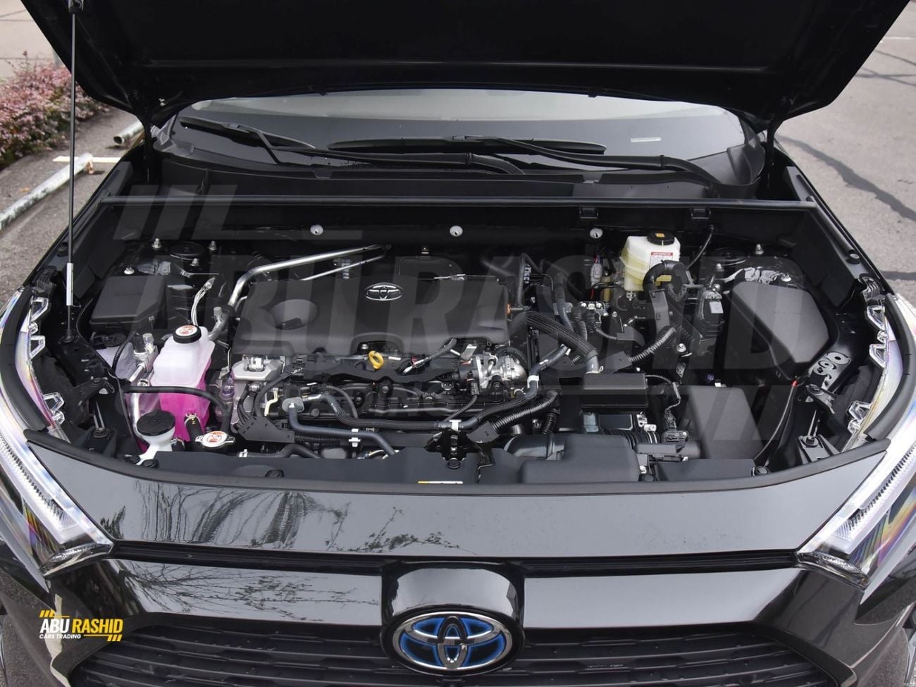 Toyota RAV4 XLE HEV
