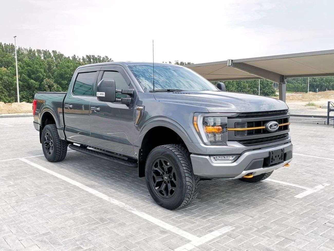 Ford F 150 Ford F-150 Tremor - 2023 - Grey