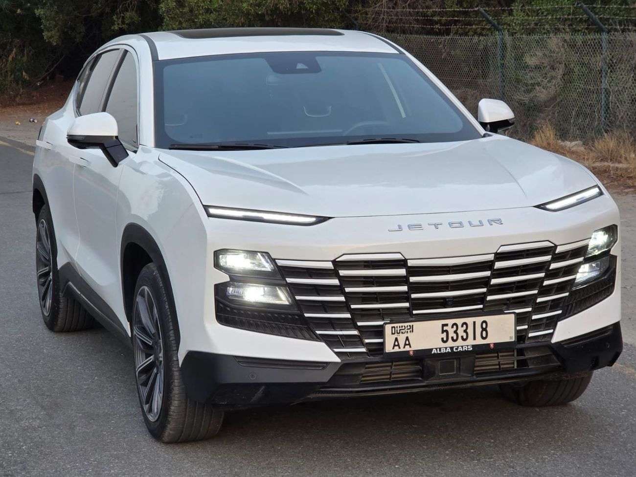 جيتور داشينج