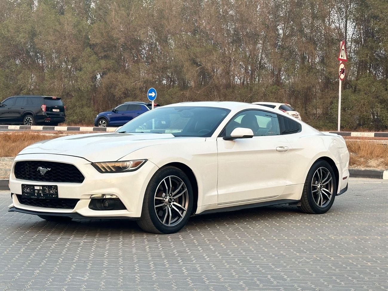 Ford Mustang PREMIUM