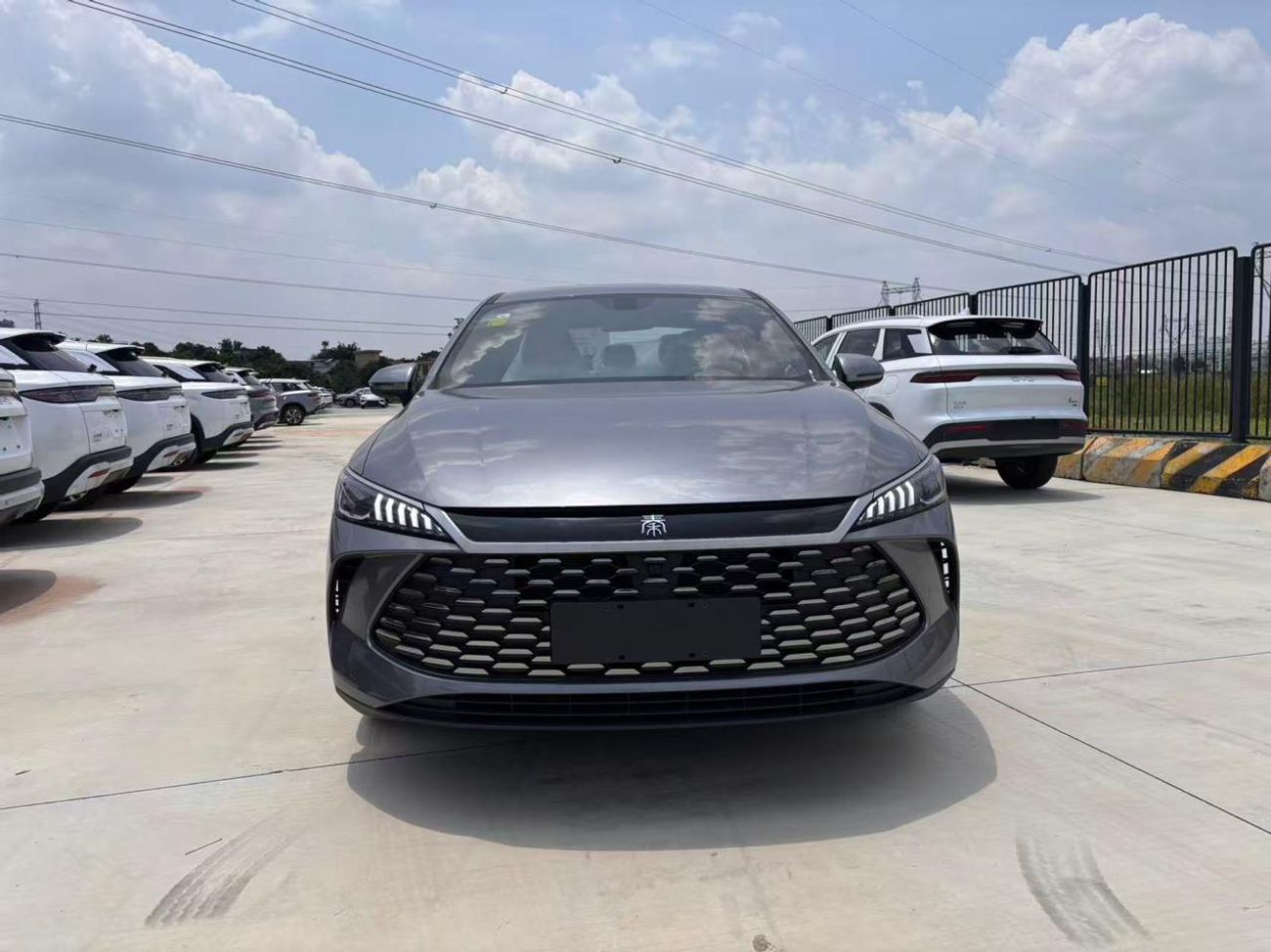 بي واي دي كين بلاس STD DM-I 128KM Active Type | For export