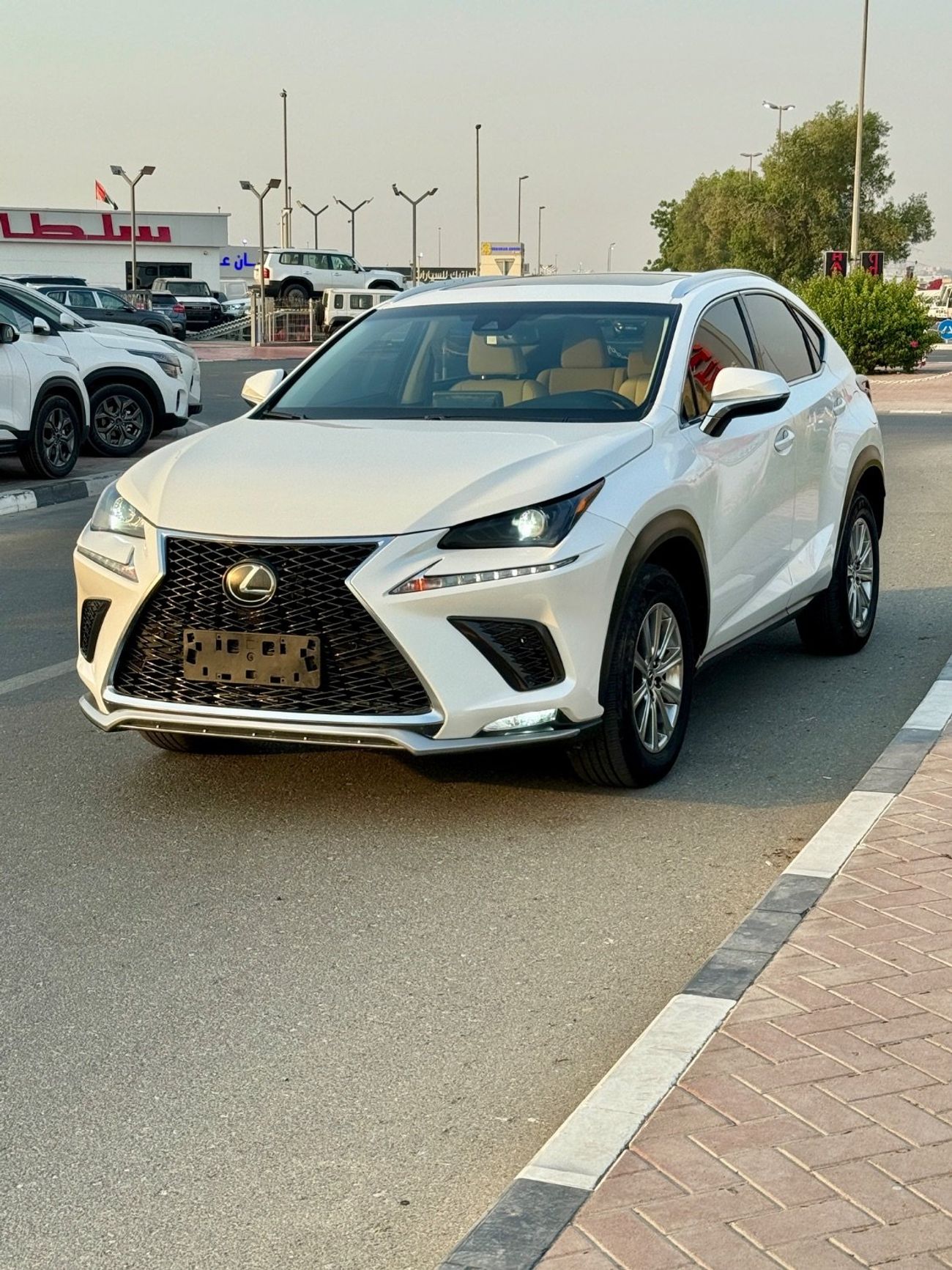 Lexus NX300 Nx300 Full option