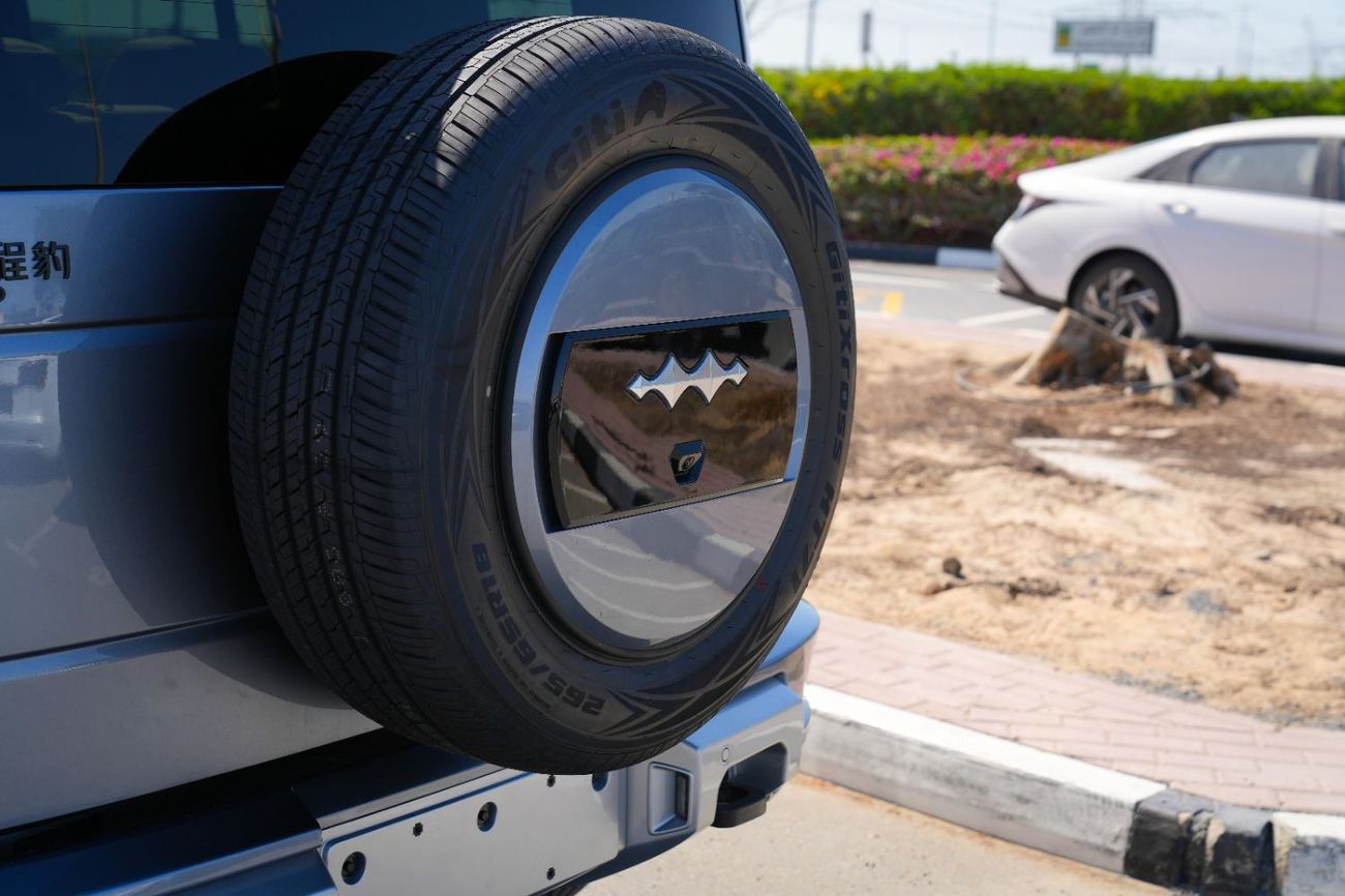 BYD Leopard 5 Leopard 5 Ultra Single Diff-Lock