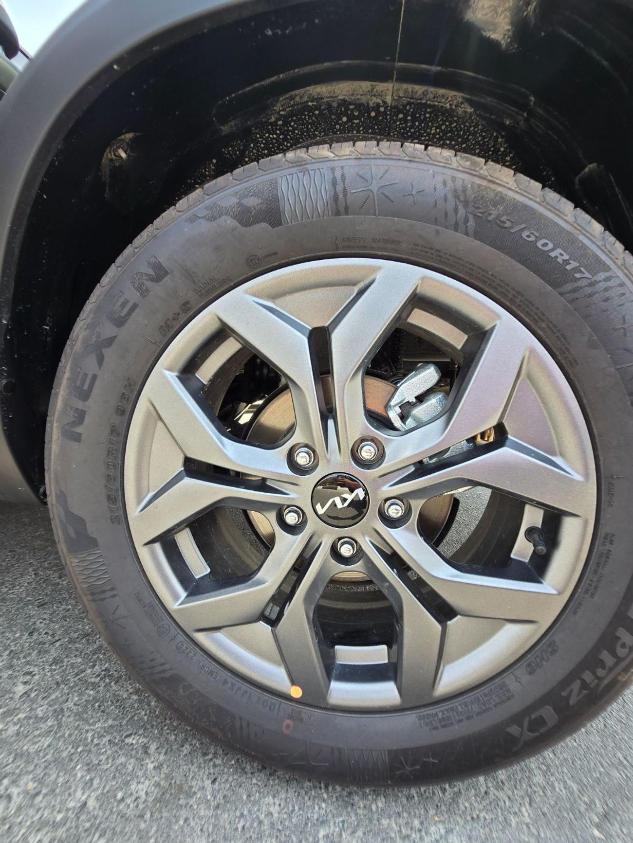 Kia Seltos available white dual tone and grey dual tone