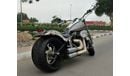 Harley-Davidson Softail HARLEY DAVIDSON - 2001 - SOFT TAIL - CUSTOMIZED BY TBC CYCLES -