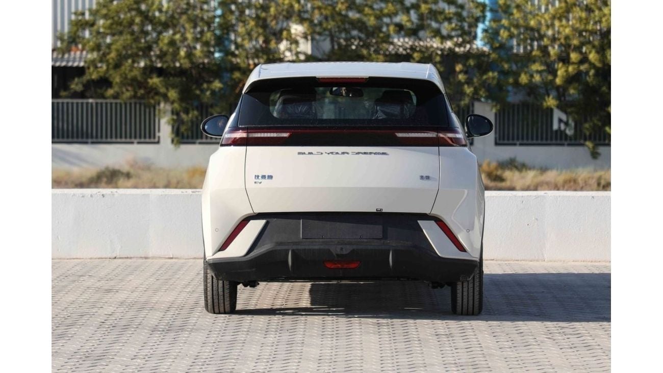 BYD Seagull 2024 BYD Seagull - White inside Blue | Export Only