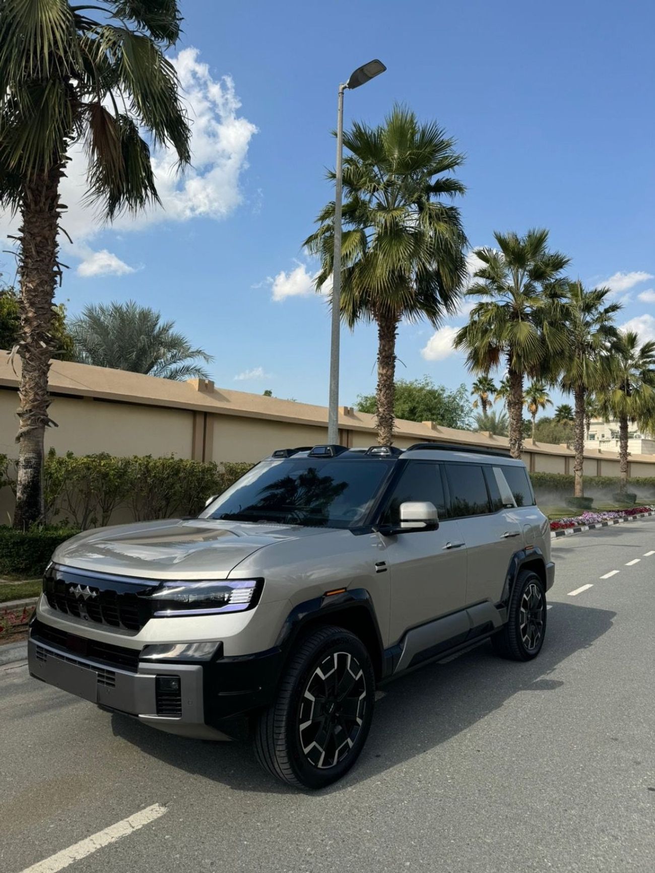 بي واي دي ليوبارد 8 Smart and Brave Flagship Edition (7 Seats)