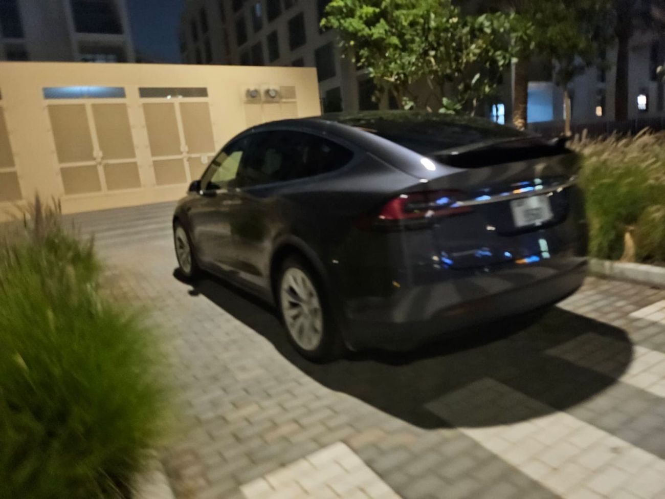 تسلا موديل اكس orignal paint