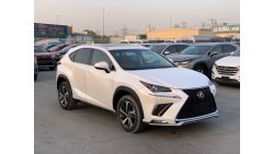 Lexus NX300 2019 LEXUS NX300 FULL OPTIONS IMPORTED FROM USA