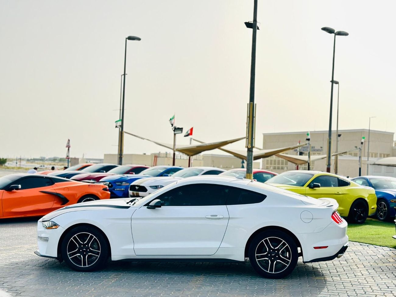 Ford Mustang Ecoboost | Monthly 1200/- | 0% DP | Fog Lights | Lane Assist | # 00283