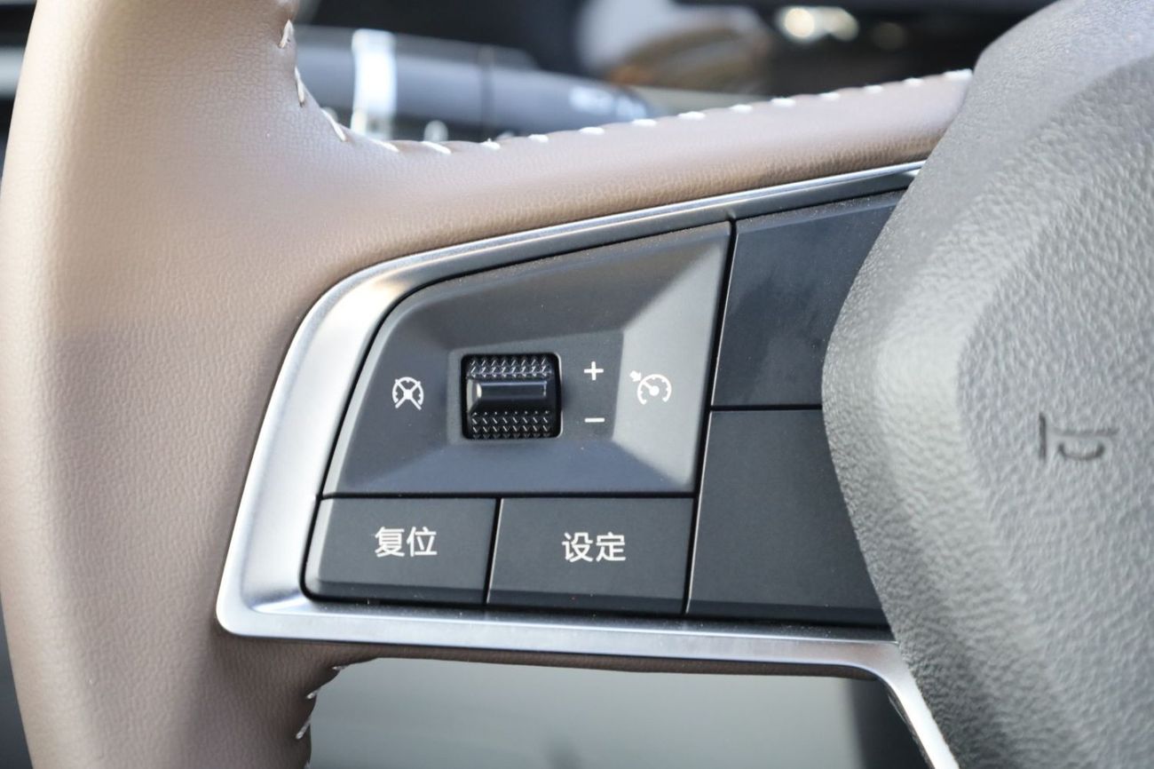 BYD QIN PLUS BYD_QIN_PLUS_HYBRID_2024_DMI