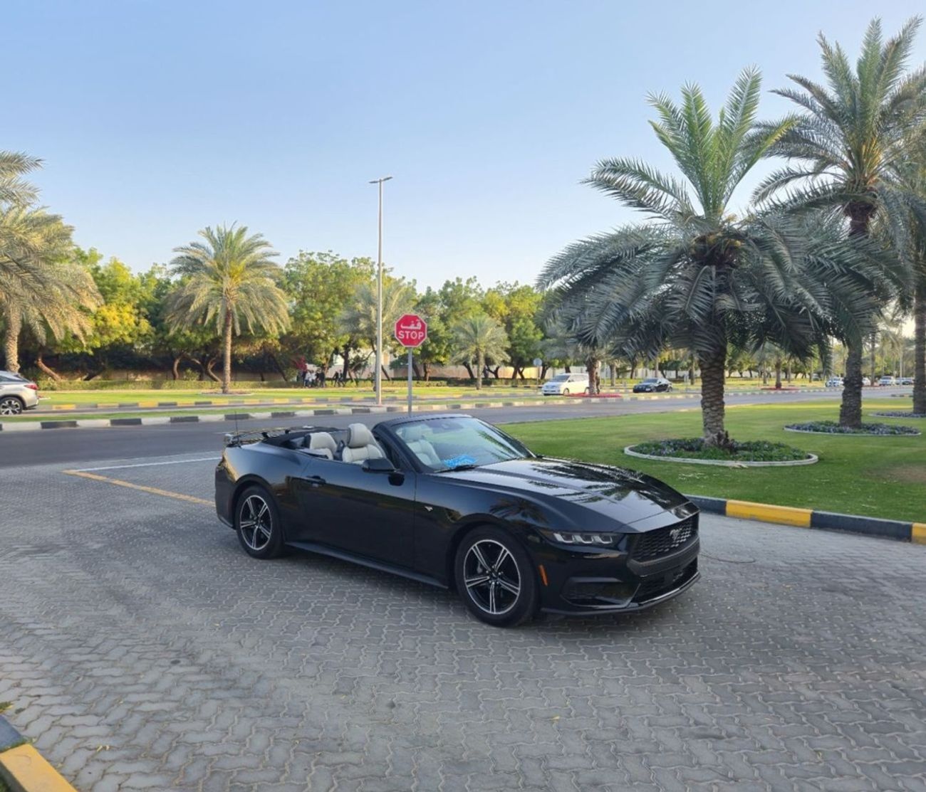 Ford Mustang EcoBoost 2.3L Convertible A/T